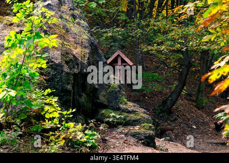 Une vue panoramique sur un sol forestier couvert de feuilles mortes, avec de grands rochers couverts de mousse et une structure en bois rustique nichée parmi les arbres Banque D'Images