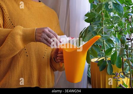 Femme en pull jaune ajoutant du peroxyde d'hydrogène à l'arrosoir jaune pour arroser les plantes Banque D'Images