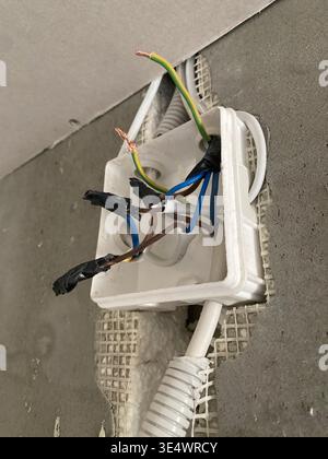 Fils multicolores exposés du boîtier de raccordement électrique conduit ondulé entrant dans la boîte, bleu marron vert jaune Banque D'Images