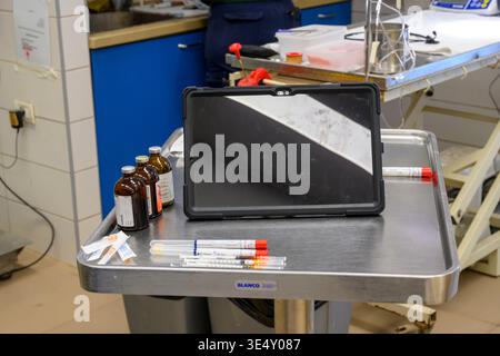 Table médicale en acier inoxydable tenant un comprimé, des bouteilles de médicament, des seringues et un tube de prélèvement sanguin, prêt pour les procédures vétérinaires et laborato Banque D'Images