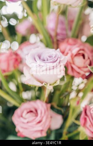 Bouquet de roses pastel fleurissant dans une douce lumière naturelle Banque D'Images