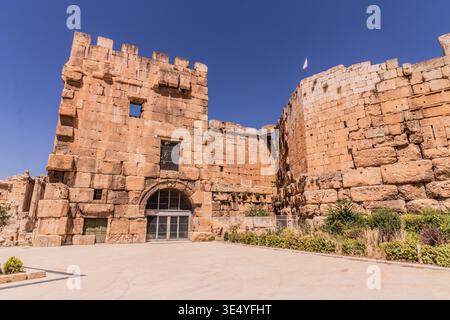 Ruines romaines d'Héliopolis à Baalbek, Liban Banque D'Images