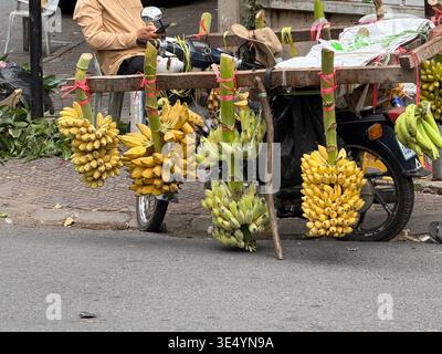 Un étal de fruits mobile dans les rues de Phnom Penh - vendant des bananes fraîches de toutes sortes et couleurs Banque D'Images