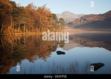 Une vue d'automne du Langdale Pikes, prises à l'aube de Blea Tarn dans le Parc National de Lake District. Banque D'Images