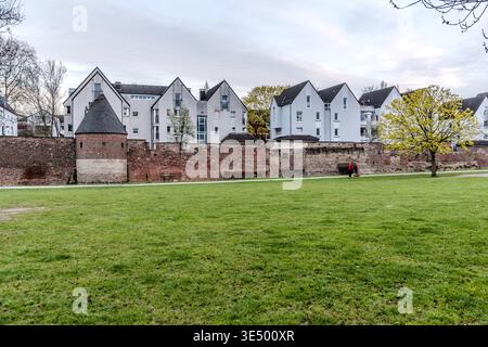 Maisons étroites à pignons pointus derrière les remparts de Duisburg dans le quartier de Corputius. Cette zone résidentielle a été développée à la fin des années 1980 en tant que premier quartier résidentiel dans le port intérieur et fait partie intégrante du réaménagement de la zone – les pignons s’élèvent délibérément au-dessus du mur et font écho aux formes historiques. Une femme promène son chien le long du mur historique de la ville. Duisbourg, Rhénanie du Nord-Westphalie, Allemagne Banque D'Images