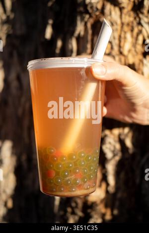 Thé aux bulles de fruits avec des perles vertes près de l'arbre Banque D'Images