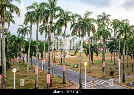 Vue aérienne du parc couvert de palmiers appelé la place des Palmistes dans le quartier historique central de Cayenne, Guyane française. Banque D'Images