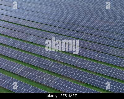 La vue aérienne montre des panneaux solaires organisés en rangées sur des champs verts pour la production d'énergie renouvelable et la production d'énergie propre. Banque D'Images