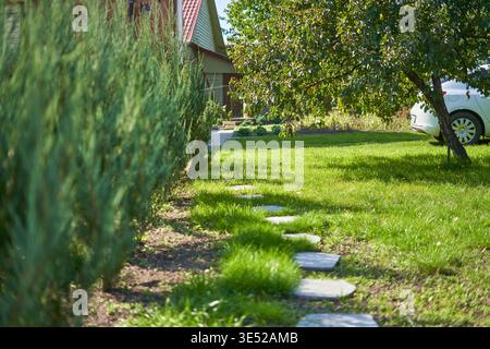 Un jardin résidentiel ensoleillé avec un chemin de pierre courbé sur une pelouse verdoyante. De grands arbustes conifères à feuilles persistantes bordent la gauche Banque D'Images