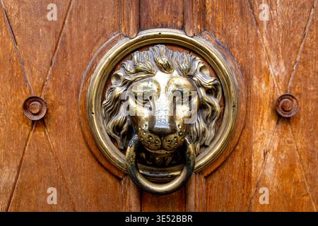 Antique Lion Head porte Knocker sur bois. Gros plan d'un ancien heurtoir de porte à tête de lion en laiton sur une porte en bois sculptée, montrant des détails d'entrée vintage Banque D'Images