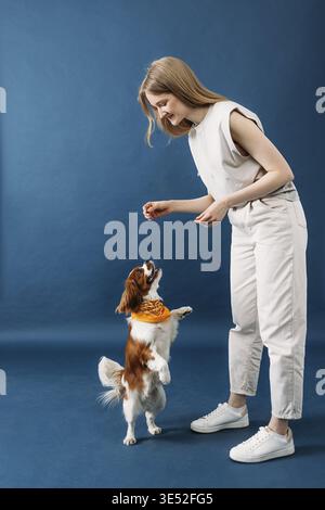 Le petit chien se tient sur ses pattes arrière. Propriétaire d'animal de compagnie jouant avec le chien mignon en studio Banque D'Images