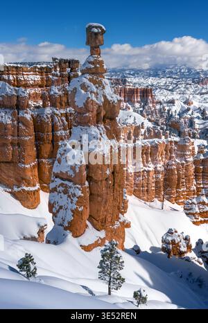 Hoodoo de Thor's Hammer couvert de neige dans le parc national de Bryce Canyon, Utah, États-Unis. Banque D'Images
