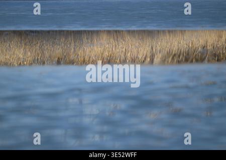 Étang partiellement gelé, reflet de roseaux et d'arbres dans les zones d'eau libre, Thuringe, Allemagne Banque D'Images