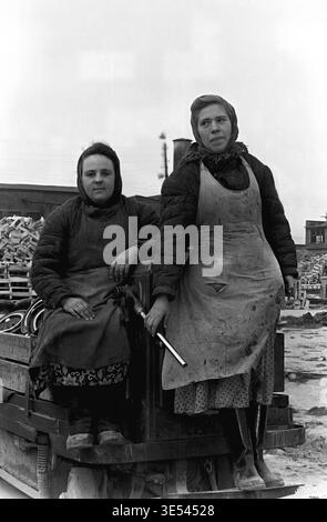 Sloviansk, 1950s-1960s, armature-Insulator Plant (AIZ). Photographie historique en noir et blanc représentant une machiniste féminine concentrée qui exploite une machine de traitement rotative multibroche complexe, manipulant de grands isolateurs cylindriques en céramique. Elle gère de manière experte les équipements industriels mécaniques lourds dans un environnement d'atelier occupé. Cet instantané d'archives authentique capture l'environnement industriel soviétique avancé, les compétences techniques des femmes dans l'industrie lourde et préserve le patrimoine industriel du Donbass pacifique. Banque D'Images