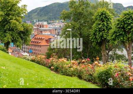 Bergen, Norvège - 6 juillet 2024 : roseraie colorée sur un parc à flanc de colline surplombant le paysage urbain Banque D'Images