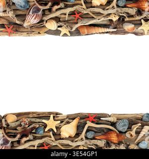 Driftwood Seashell art bordure de fond de conception rustique sur blanc. Coque bord de mer et design naturel en bois altéré. Décor côtier. Banque D'Images