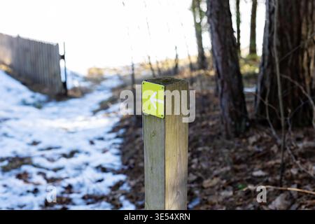 Marqueur de sentier dans un sentier forestier enneigé, flèche verte sur un poteau en bois altéré pointe vers la gauche vers le soleil dégageant sans feuillage Banque D'Images