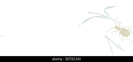 Motif sans couture dessiné à la main vectoriel insectes herbes sauvages. Fond de papier peint entomologique décoratif avec des éléments botaniques couleurs pastel Illustration de Vecteur