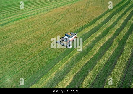 La vue aérienne capture la puissante moissonneuse-batteuse rassemble les récoltes sur un vaste champ vert sous un ciel bleu clair lors d'une journée ensoleillée à proximité Banque D'Images