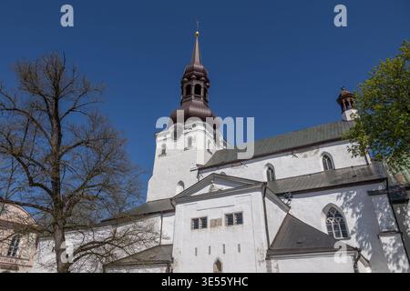 La cathédrale de Marie (Toomkirik) dans la ville de Tallinn, Estonie. La cathédrale épiscopale de la Sainte Vierge Marie dans la vieille ville, datant du 13ème Banque D'Images