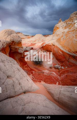 Vue sur les formations rocheuses blanches uniques ressemblant à un cerveau et le grès orange tourbillonnant à White Pocket sous un ciel nuageux spectaculaire du comté de Coconino, Arizona Banque D'Images