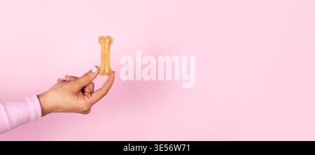 Main femelle tenant une friandise d'os de chien sur un fond rose pastel, offrant de l'espace pour la copie. Concept de soins pour animaux lumineux, minimal et moderne. panorama Banque D'Images