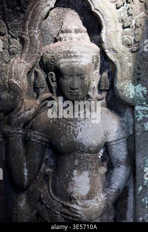 Sculptures en grès bas-relief d'Apsara à Ta Prohm temple ruine dans la forêt. Siem Reap. Cambodge. Banque D'Images
