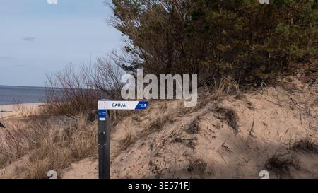 Panneau Gauja rivière Lettonie dunes sablonneuses forêt de pins paysage de la côte Baltique Banque D'Images