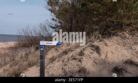 Panneau Gauja rivière Lettonie dunes sablonneuses forêt de pins paysage de la côte Baltique Banque D'Images