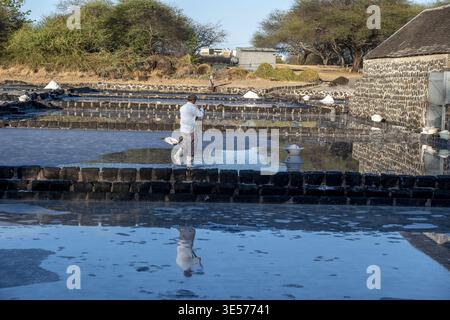 Travail à Yemen Salt Pans, Maurice Banque D'Images