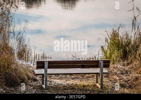 Banc vide face au lac calme entouré de roseaux Banque D'Images