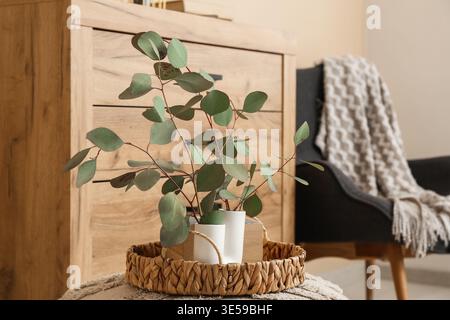 Plateau et vases avec branches d'eucalyptus sur pouf dans la chambre, gros plan Banque D'Images