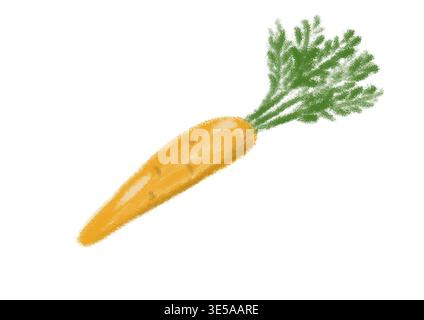 Carotte orange dessinée à la main avec des feuilles vertes sur fond blanc légume frais Banque D'Images