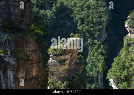 Vue imprenable sur les piliers de grès de quartz naturel des montagnes Tianzi (montagnes Avatar) dans le parc forestier national de Zhangjiajie ( Wulingyuan), Hun Banque D'Images
