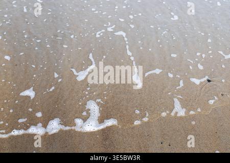 Mousse de mer se lavant sur la plage de sable au bord de la côte, créant des motifs naturels et des textures avec des vagues douces dans la lumière du jour douce. Banque D'Images