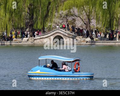 (260401) -- PÉKIN, 1er avril 2026 (Xinhua) -- les touristes visitent le parc Yuyuantan à Pékin, capitale de la Chine, le 1er avril 2026. Les fleurs printanières fleurissent à travers le pays, attirant les gens à profiter des sorties et de l'observation des fleurs. (Xinhua/Xing Guangli) Banque D'Images