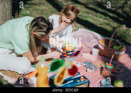 Maman et fille jouant à un jeu de blocs empilables sur une couverture de pique-nique à l'extérieur Banque D'Images