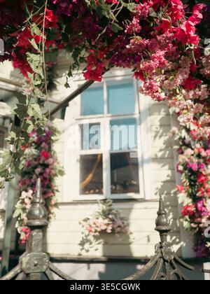 Arc floral de bougainvilliers roses et rouges sur une clôture en fer forgé encadrant une maison en bois blanc dans la vieille ville de Tallinn, Estonie Banque D'Images
