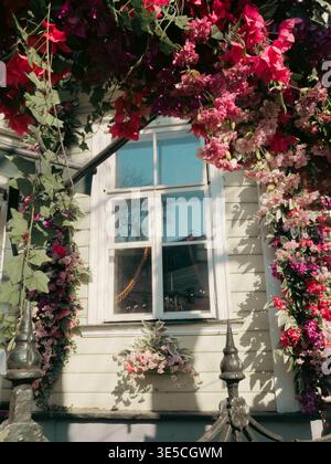 Fenêtre de maison en bois encadrée par des fleurs colorées de bougainvilliers dans la vieille ville de Tallinn, Estonie, mars 2026 Banque D'Images