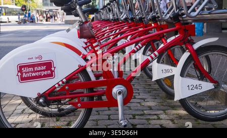 Vélos rouges à louer dans une rangée sur une rue pavée à Anvers, Flandre, Belgique Banque D'Images