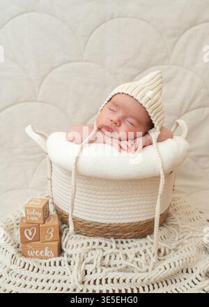 Nouveau-né endormi posé dans un panier tissé avec une couverture souple et des blocs de bois. Style rustique neutre idéal pour les portfolios professionnels de photographie de bébé. Banque D'Images