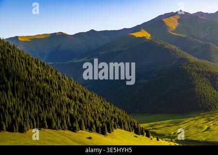 Le paysage montagneux impressionnant présente une forêt luxuriante et des collines ondulantes sous un ciel dégagé. Scène paisible capture la beauté de la nature au Kirghizistan. Banque D'Images