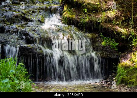 L'eau vive soyeuse coule sur des roches sombres et moussues dans une forêt luxuriante et ombragée, capturant le mouvement serein d'une petite cascade boisée Banque D'Images