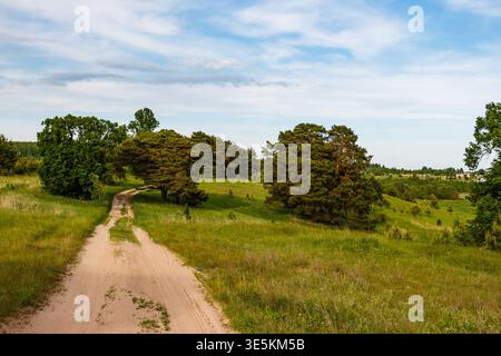Une piste de sable serpente à travers des prairies verdoyantes vallonnées, bordées d'arbres robustes sous un ciel bleu vif. Évoque un trek rural paisible Banque D'Images