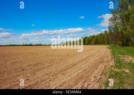 Vaste champ fraîchement labouré s'étendant sous un ciel bleu vif avec des nuages moelleux. Une forêt verte dense borde l'horizon, laissant entendre à la sérénité rurale Banque D'Images