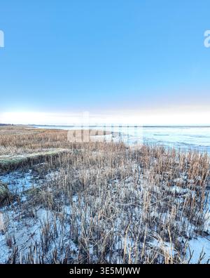 Hiver, eau ou herbe poussant avec la neige dans la nature sauvage de croissance naturelle ou ciel bleu dans la nature. Terre vide, gelée ou environnement froid de l'extérieur Banque D'Images