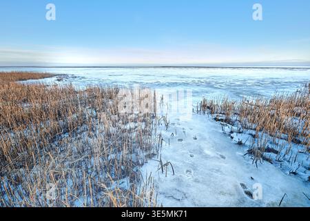 Paysage, ciel bleu et empreintes de pas dans la neige à la plage pour le changement climatique, la saison hivernale et le gel matinal. Espace, pistes et mer avec formation de glace Banque D'Images