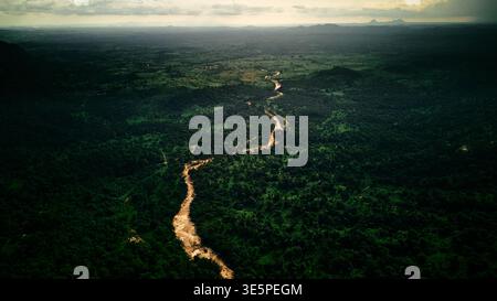 Vue aérienne d'une rivière sinueuse serpente à travers une forêt dense et verdoyante, créant une tapisserie de lumière et d'ombre, Nasarawa, Nasarawa, Nigeria. Banque D'Images