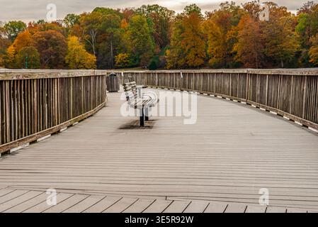 Promenade en bois serpentant à travers le feuillage d'automne coloré à Reston, Virginie, États-Unis. Paysage d'automne pittoresque avec des feuilles vibrantes et un sentier menant thr Banque D'Images