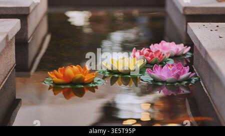 Fleurs de lotus artificielles colorées flottant dans une pièce d'eau sereine en pierre avec des reflets Banque D'Images